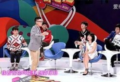 国产综艺,创新与传承的视听盛宴