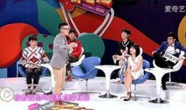 国产综艺,创新与传承的视听盛宴