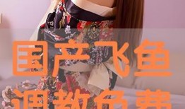 国产调教网站,探索国内虚拟互动新领域