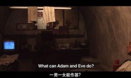 国产老人性视频在线,揭秘夕阳红时代的情感与生活