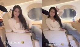 国产肥妇,绿色农业的守护者与乡村振兴的推动者