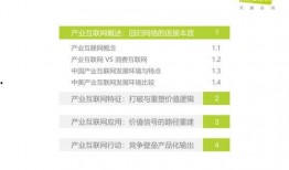 国产57页,揭秘我国科技发展的新篇章