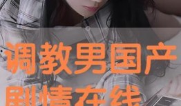 国产调教网站,探索国内虚拟互动新领域