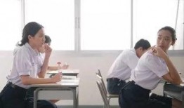 国产教师,国产教师风采录