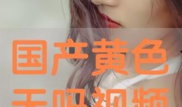 成人国产视频在线,揭秘行业现状与未来趋势