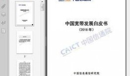 国产37页,深度解析我国科技发展的新篇章