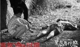 国产老熟,传承与创新中的民族品牌风采