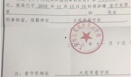浮力影院国产限制,探索限制与创新的边界