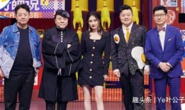 国产综艺,创新与传承的视听盛宴