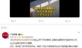 国产调教网站,探索国内虚拟互动新领域